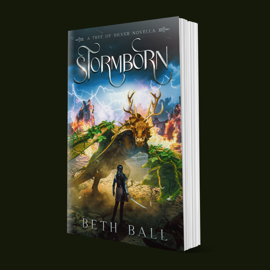 Book cover of 'Stormborn' by Beth Ball with a dragon and warrior illustration on a dark background