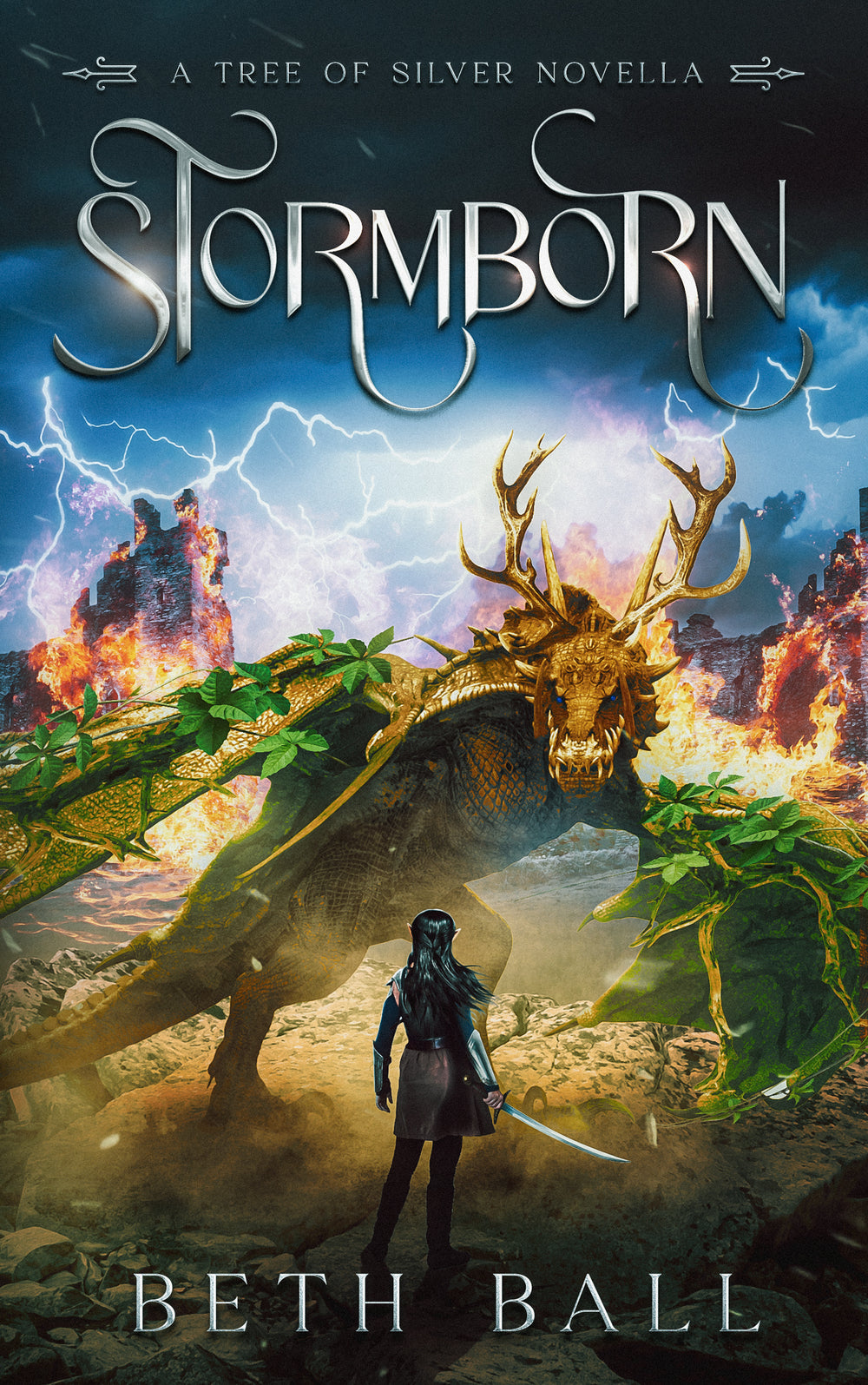 Book cover of 'Stormborn' featuring a dragon and a person with a sword, set against a dramatic sky.